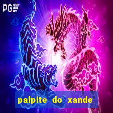 palpite do xande para hoje